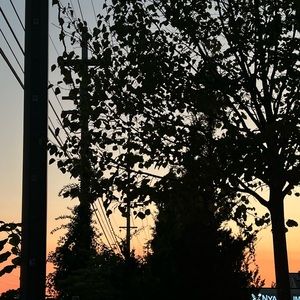 Meet your Posher, Francis